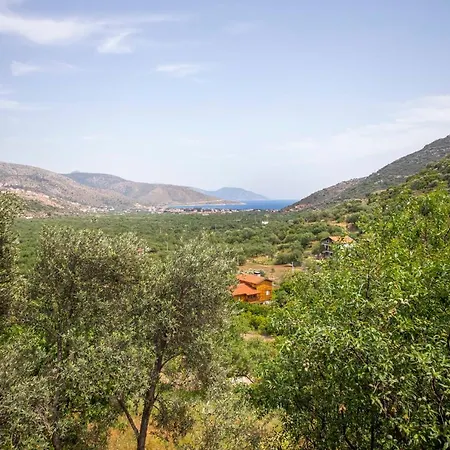 Wooden House Surrounded By Nature In Datca *