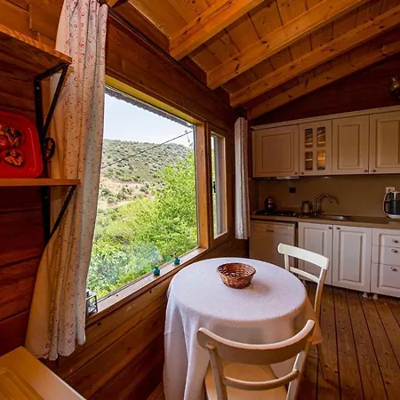 Wooden House Surrounded By Nature In Datca Apartman Palamutbuku